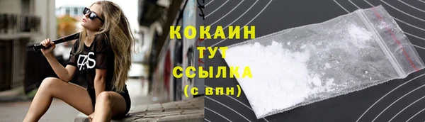 кокс Арсеньев