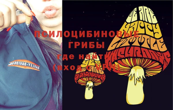 MDMA Premium VHQ Армянск