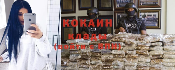 кокс Арсеньев